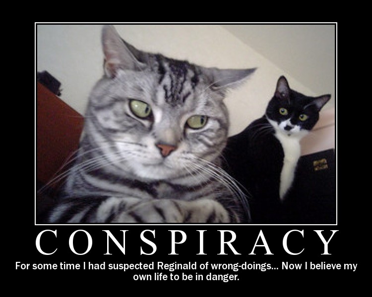 conspiracy-cats.jpg